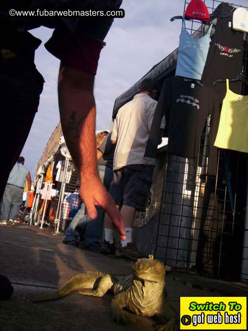 Baddog's trip to Sturgis