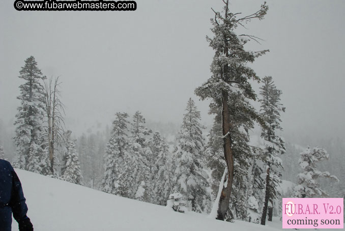 Sleazydream Snowmobiling Event