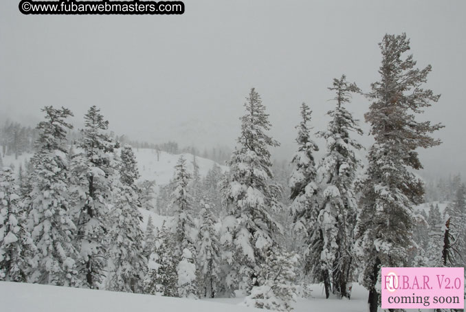 Sleazydream Snowmobiling Event