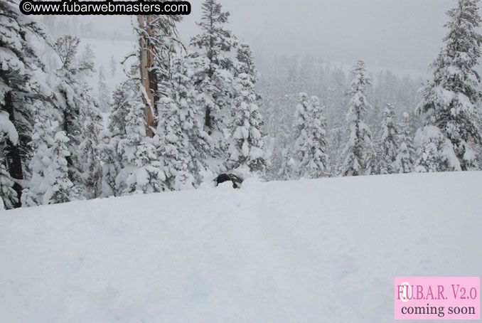 Sleazydream Snowmobiling Event