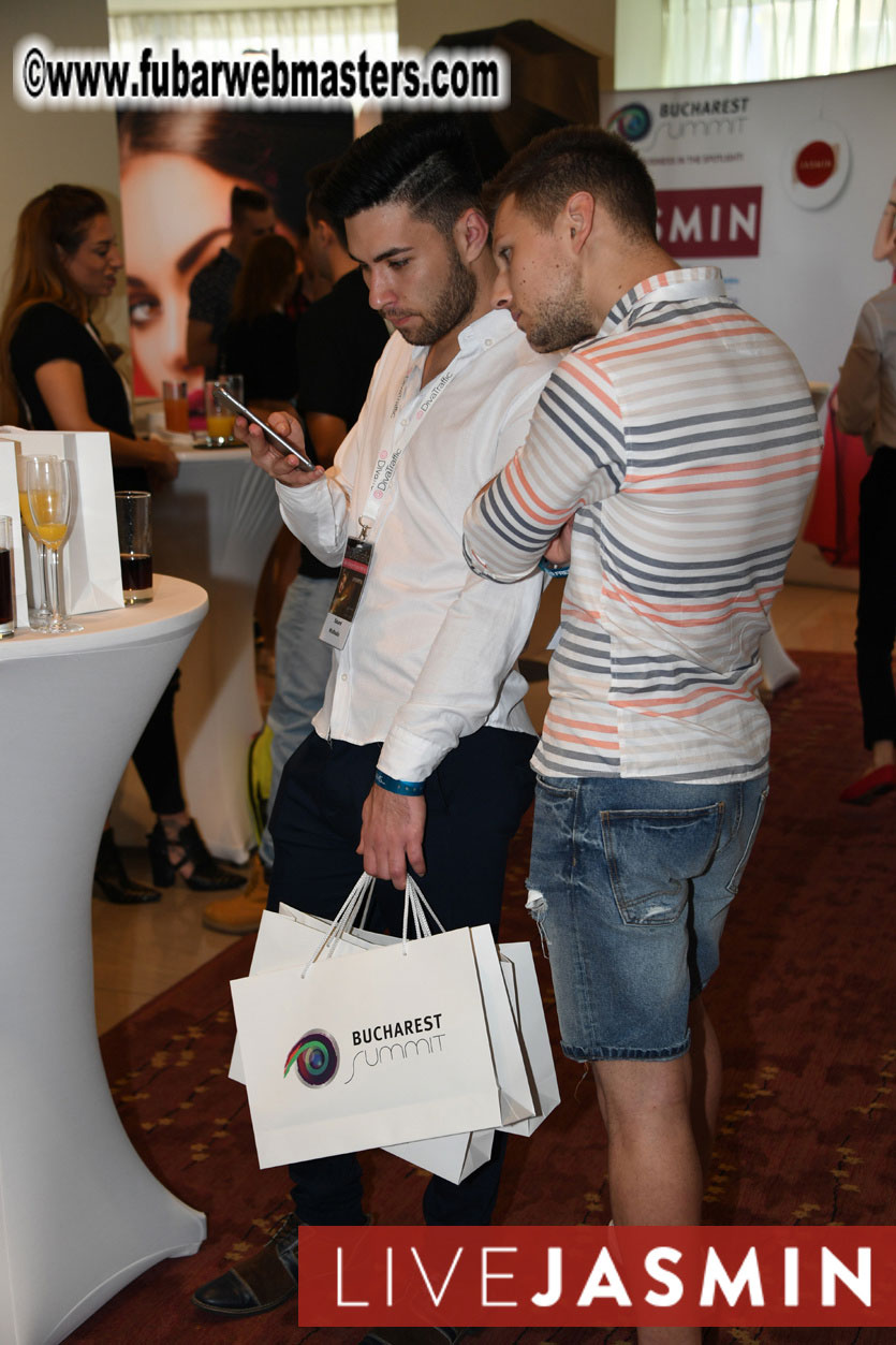 The Bucharest Summit