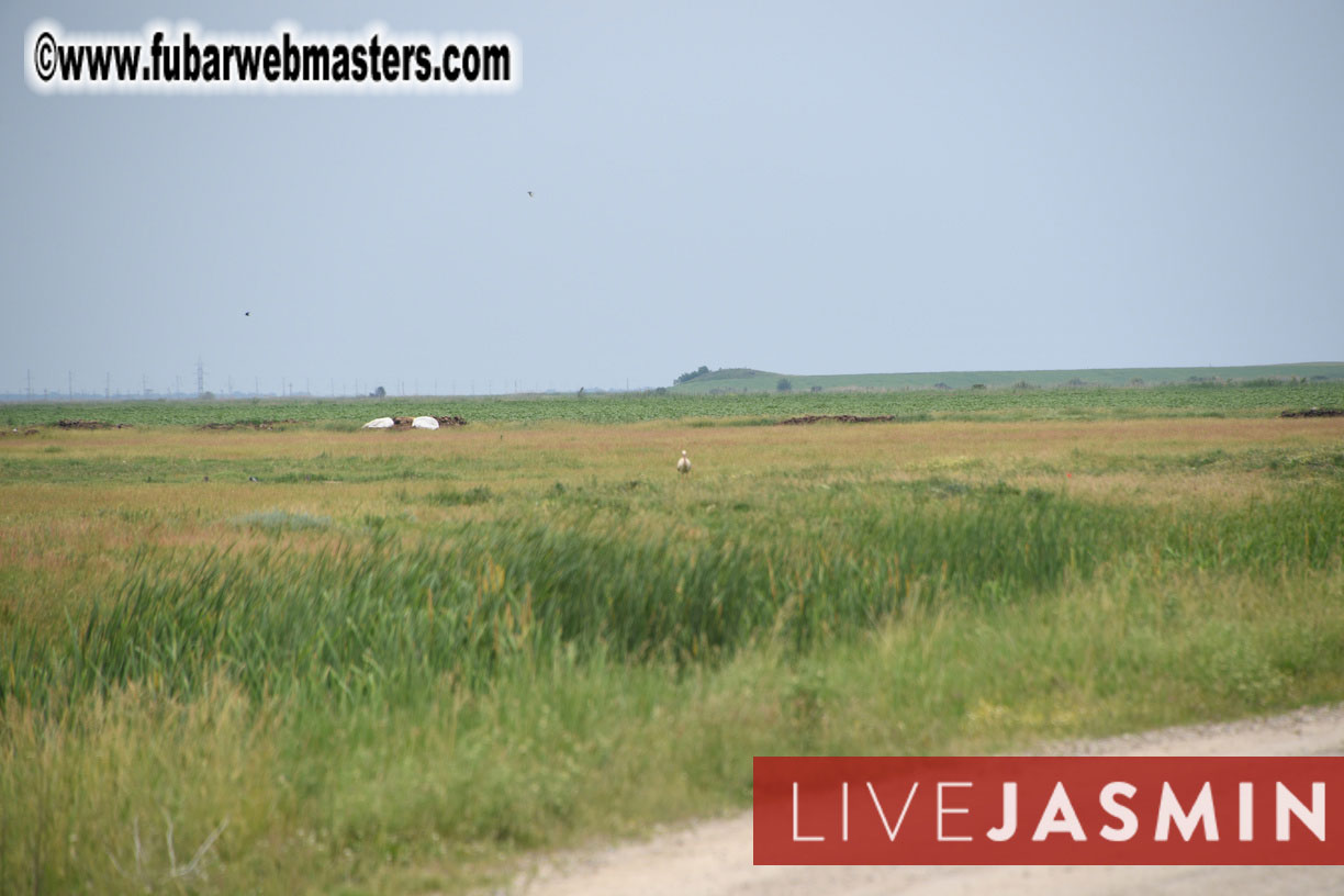 Become a Rally Driver for One Day!