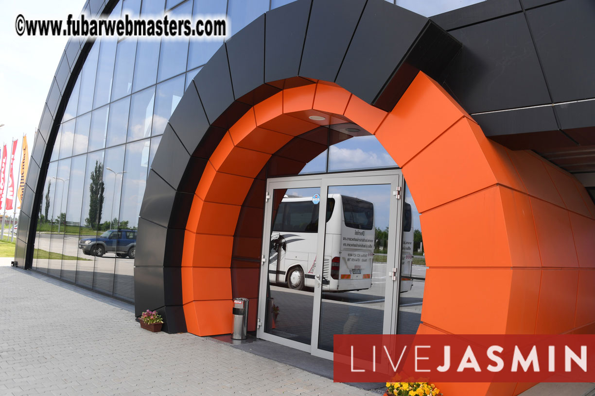 Become a Rally Driver for One Day!