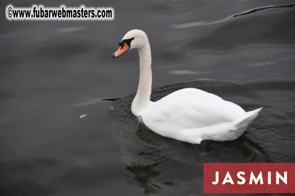 SMS Cams/Flirt4Free River Cruise