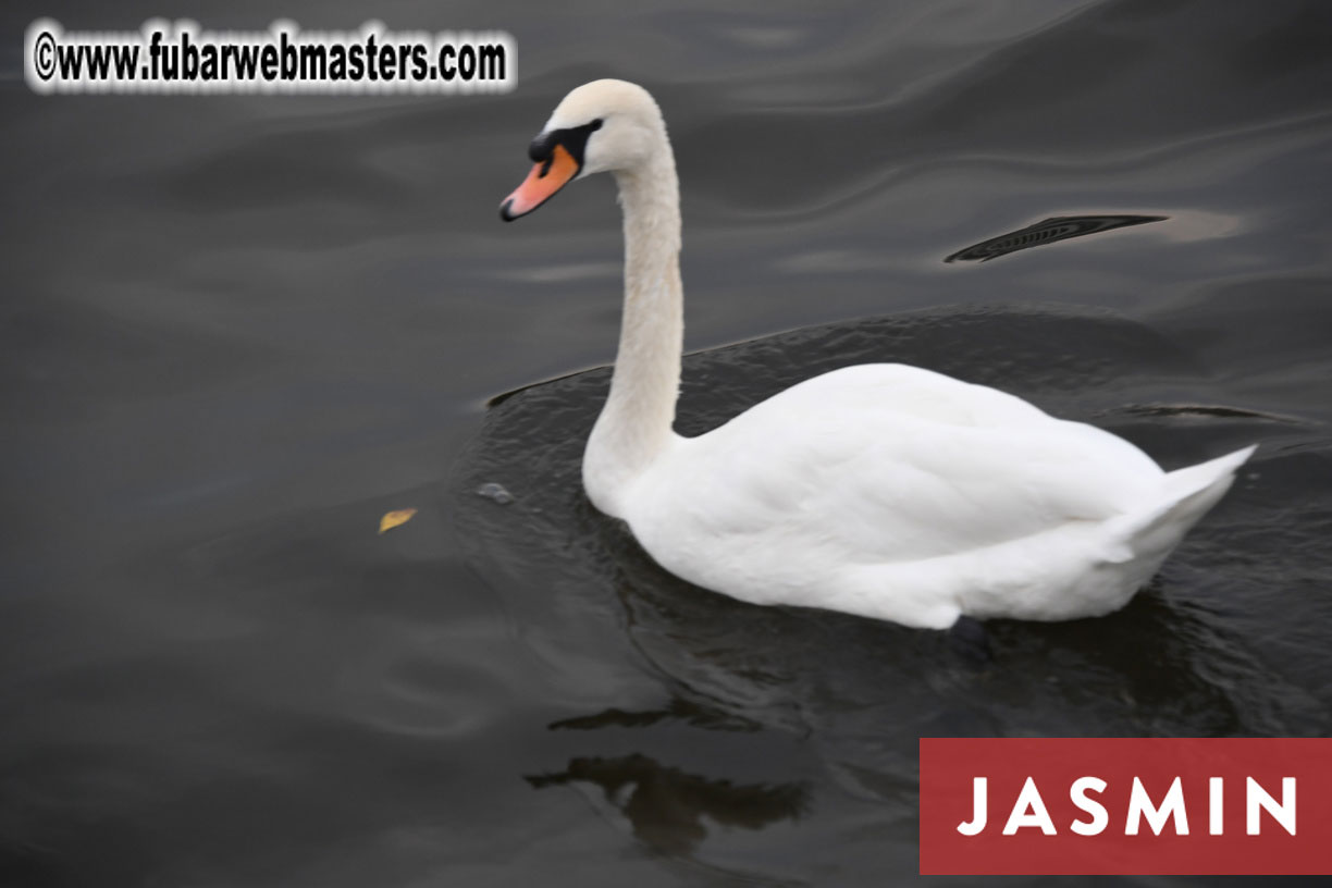 SMS Cams/Flirt4Free River Cruise