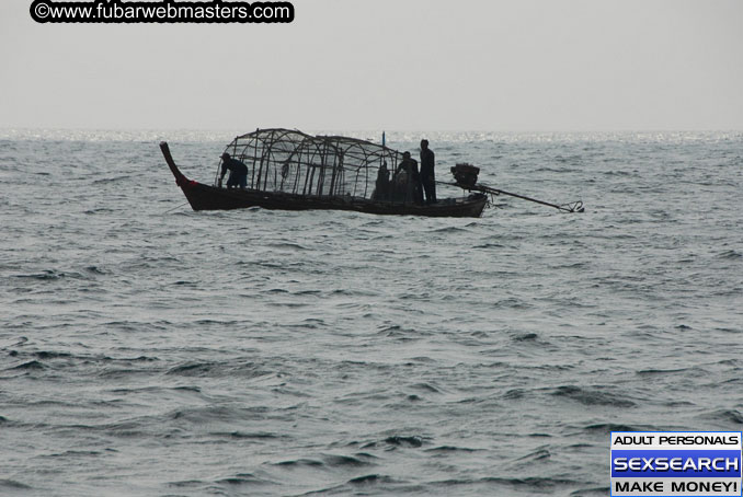 Speedboat Island Hopping