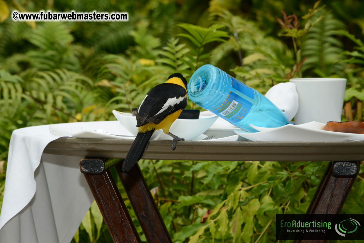 The Island Gathering Day 2