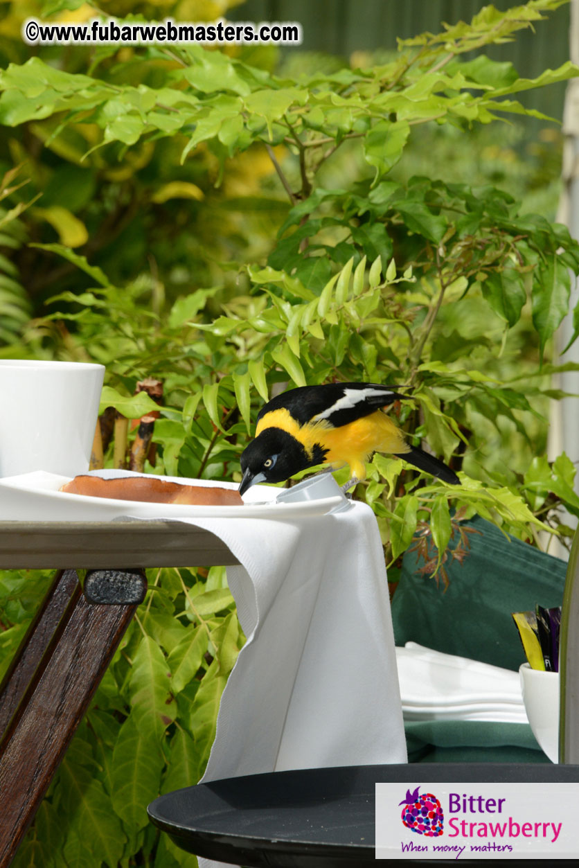 The Island Gathering Day 2