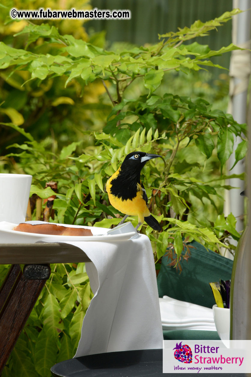 The Island Gathering Day 2