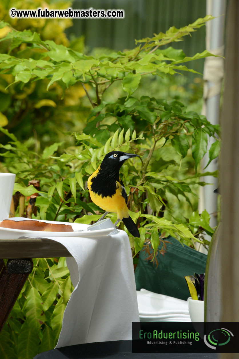 The Island Gathering Day 2