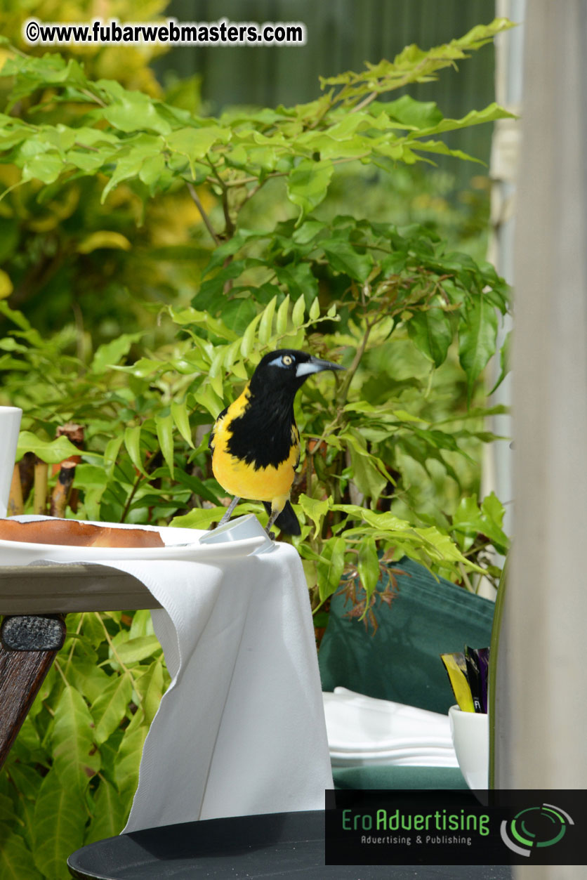 The Island Gathering Day 2