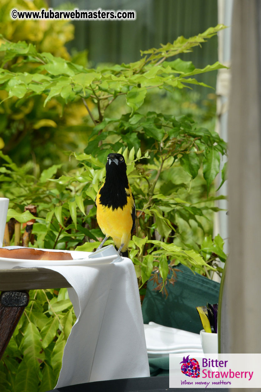 The Island Gathering Day 2