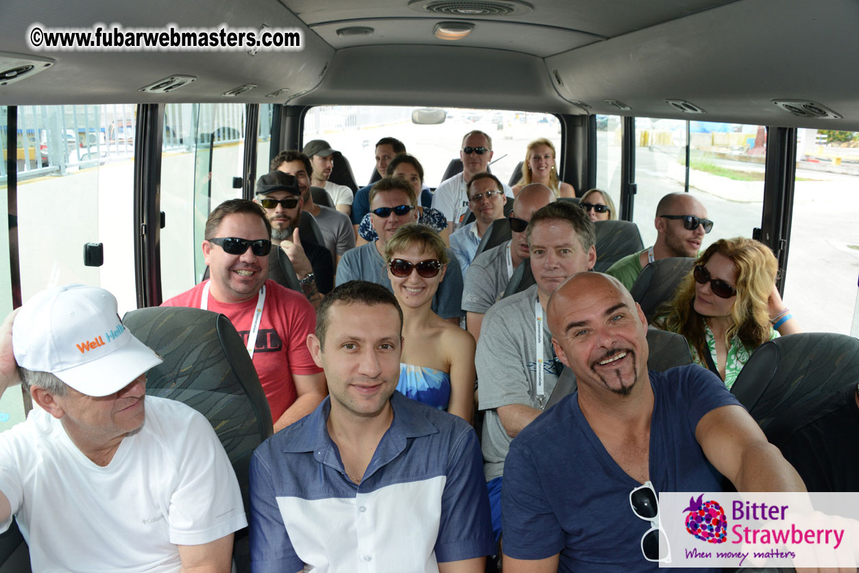 WireCard Dolphin Swim