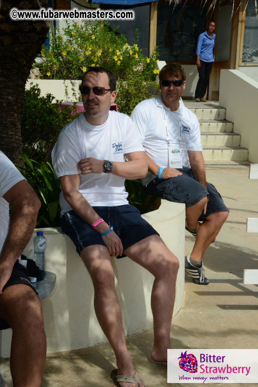 WireCard Dolphin Swim