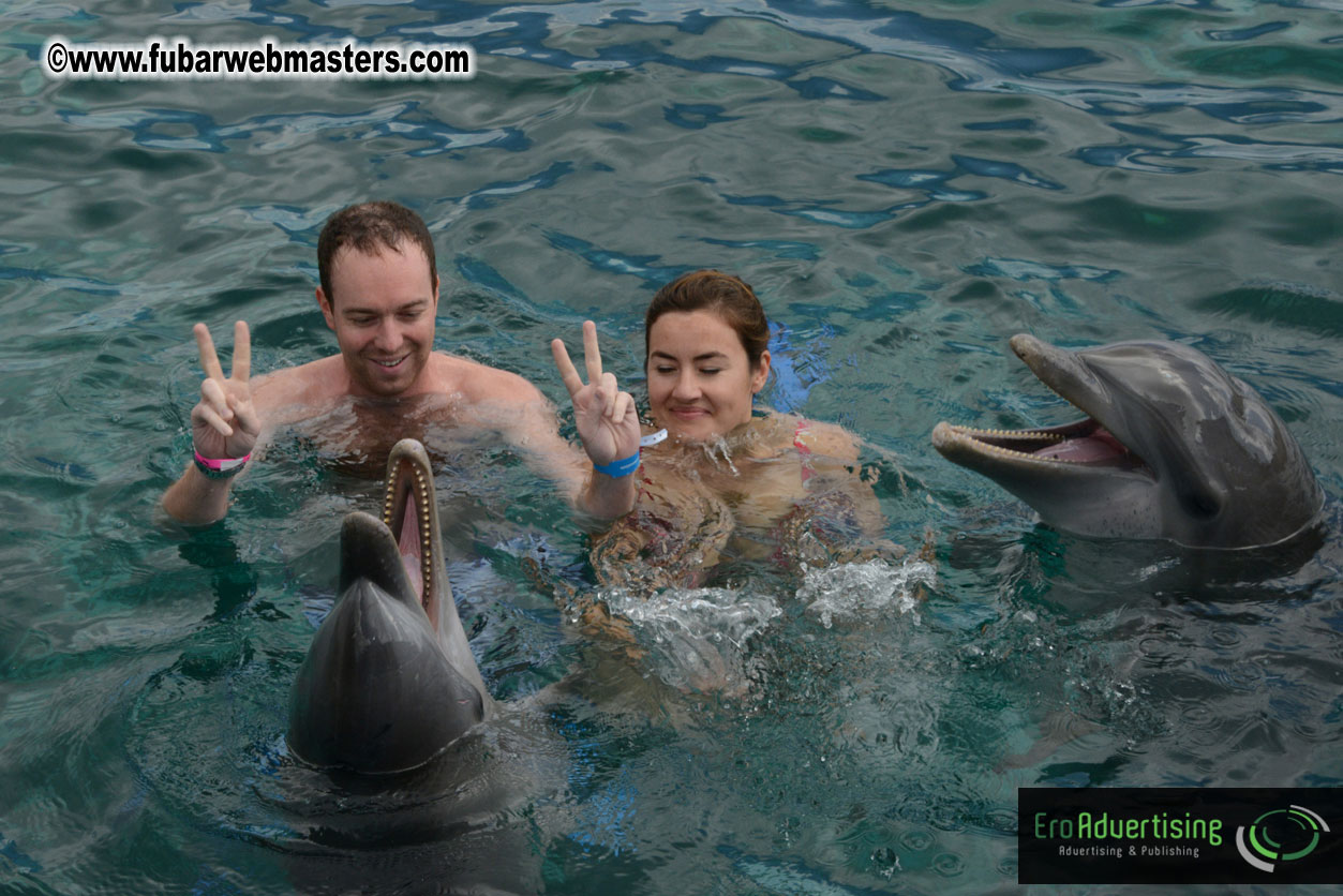 WireCard Dolphin Swim