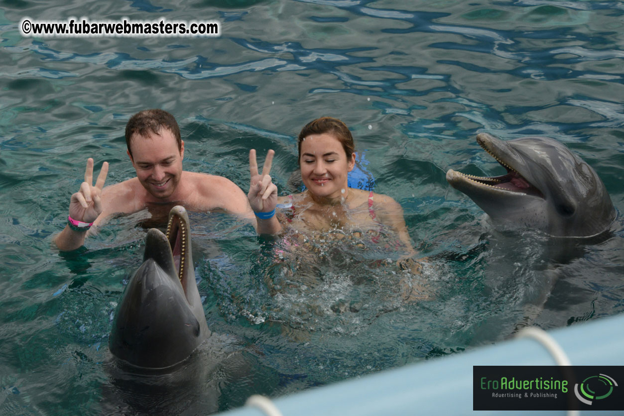 WireCard Dolphin Swim
