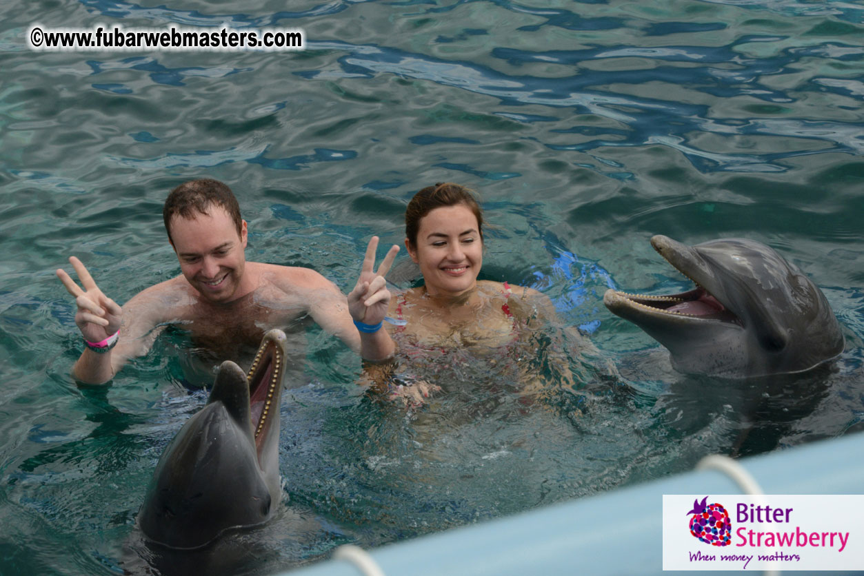 WireCard Dolphin Swim