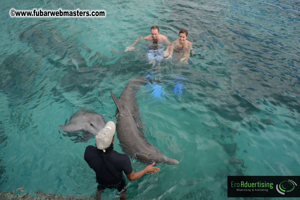 WireCard Dolphin Swim