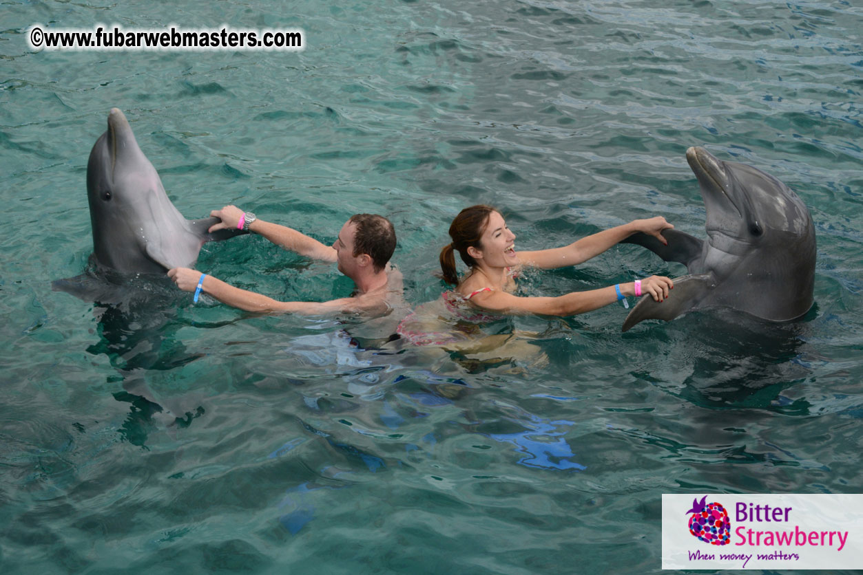 WireCard Dolphin Swim