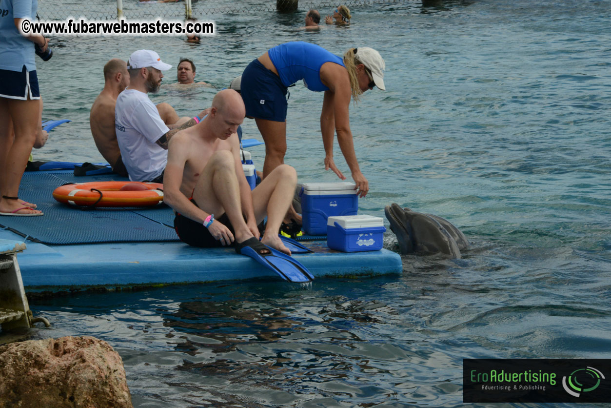 WireCard Dolphin Swim