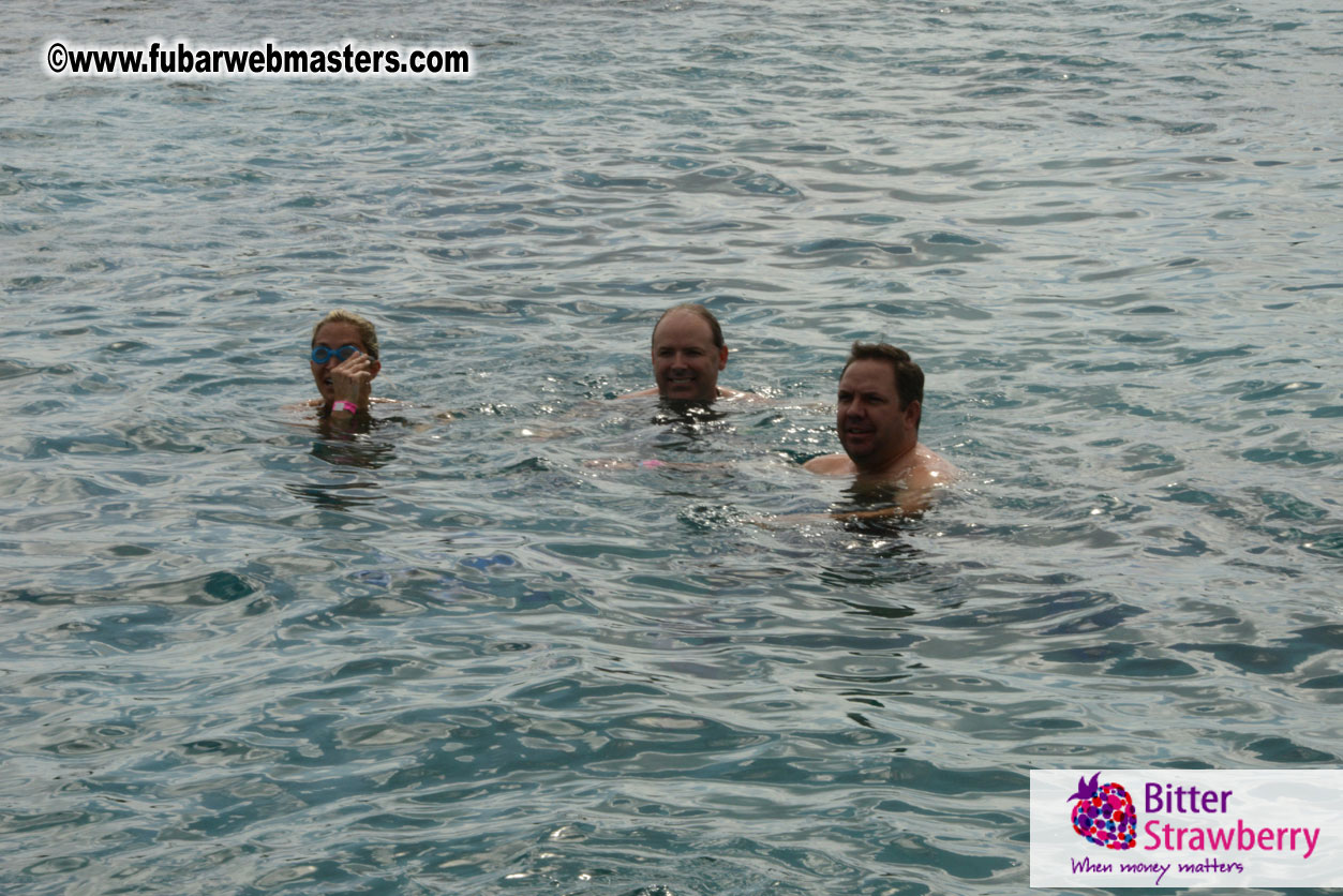 WireCard Dolphin Swim