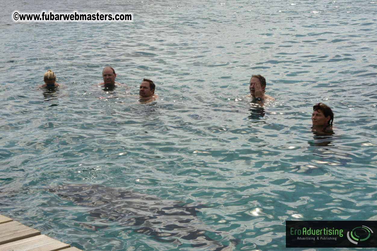 WireCard Dolphin Swim