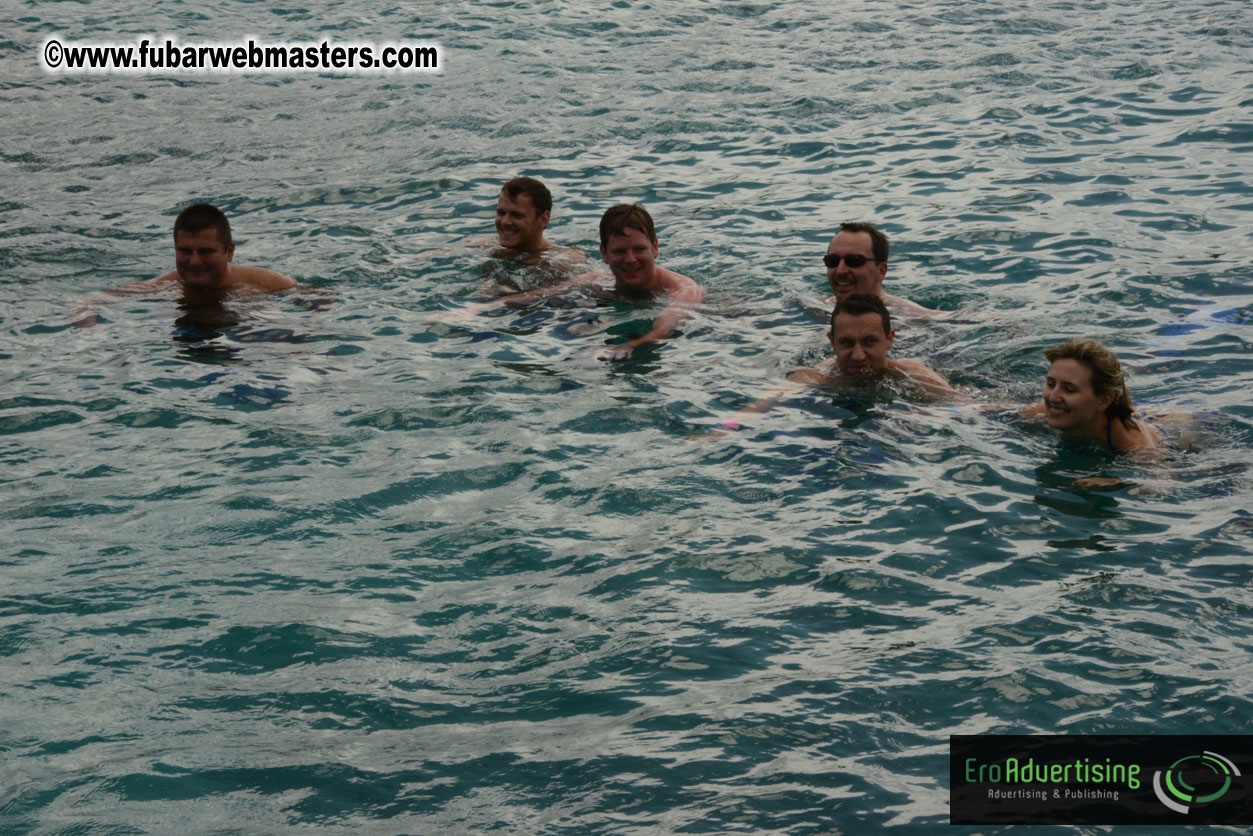 WireCard Dolphin Swim