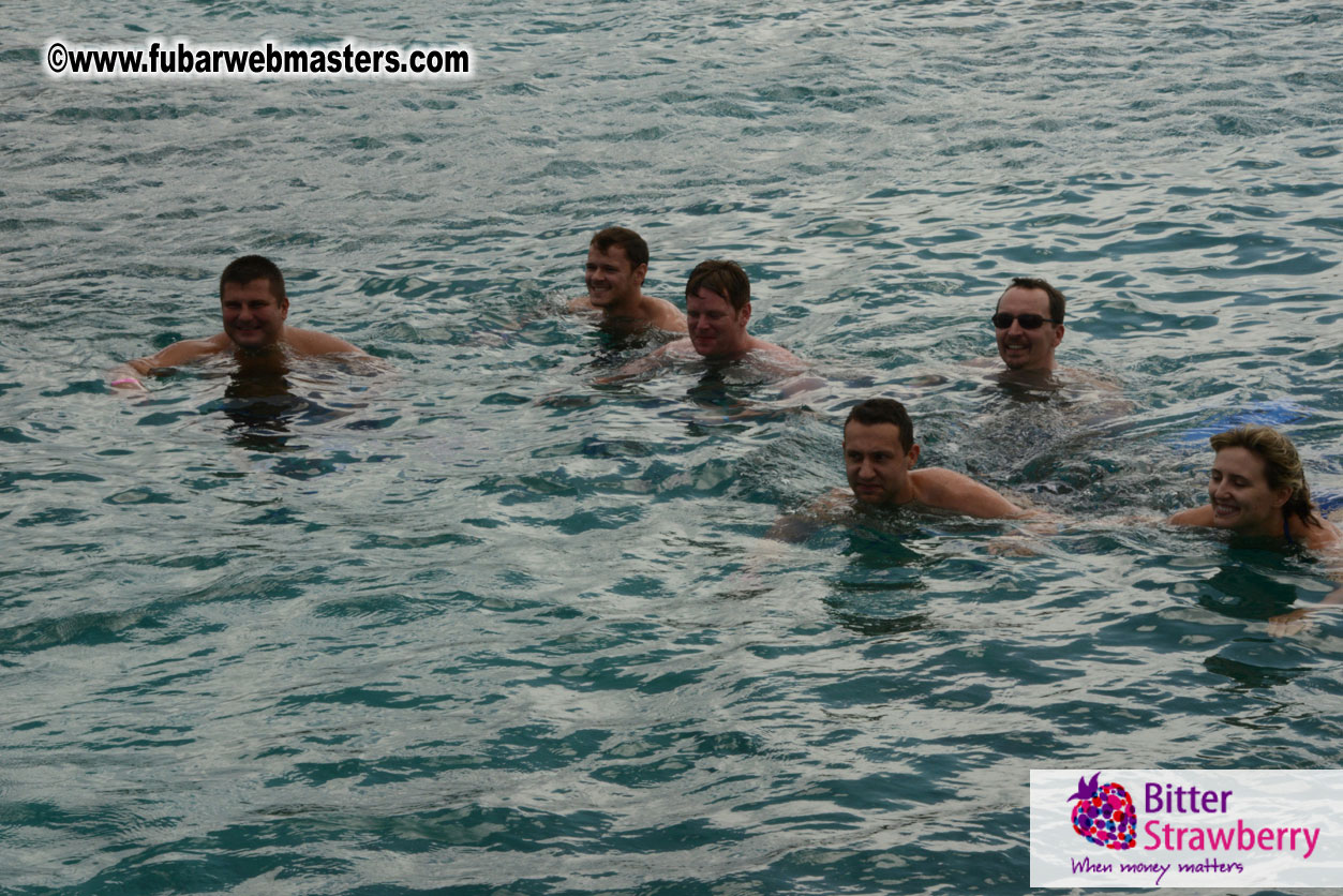 WireCard Dolphin Swim