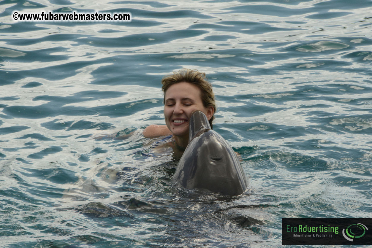 WireCard Dolphin Swim