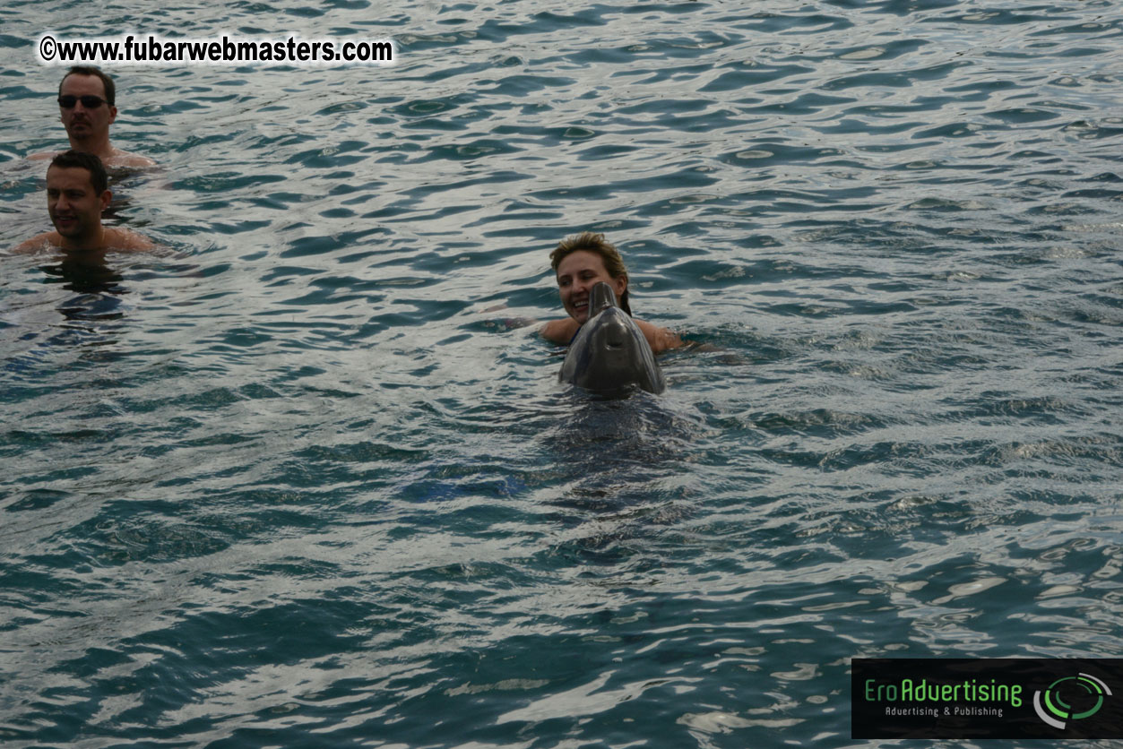 WireCard Dolphin Swim