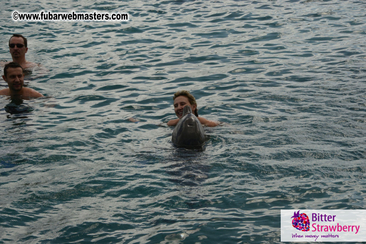 WireCard Dolphin Swim