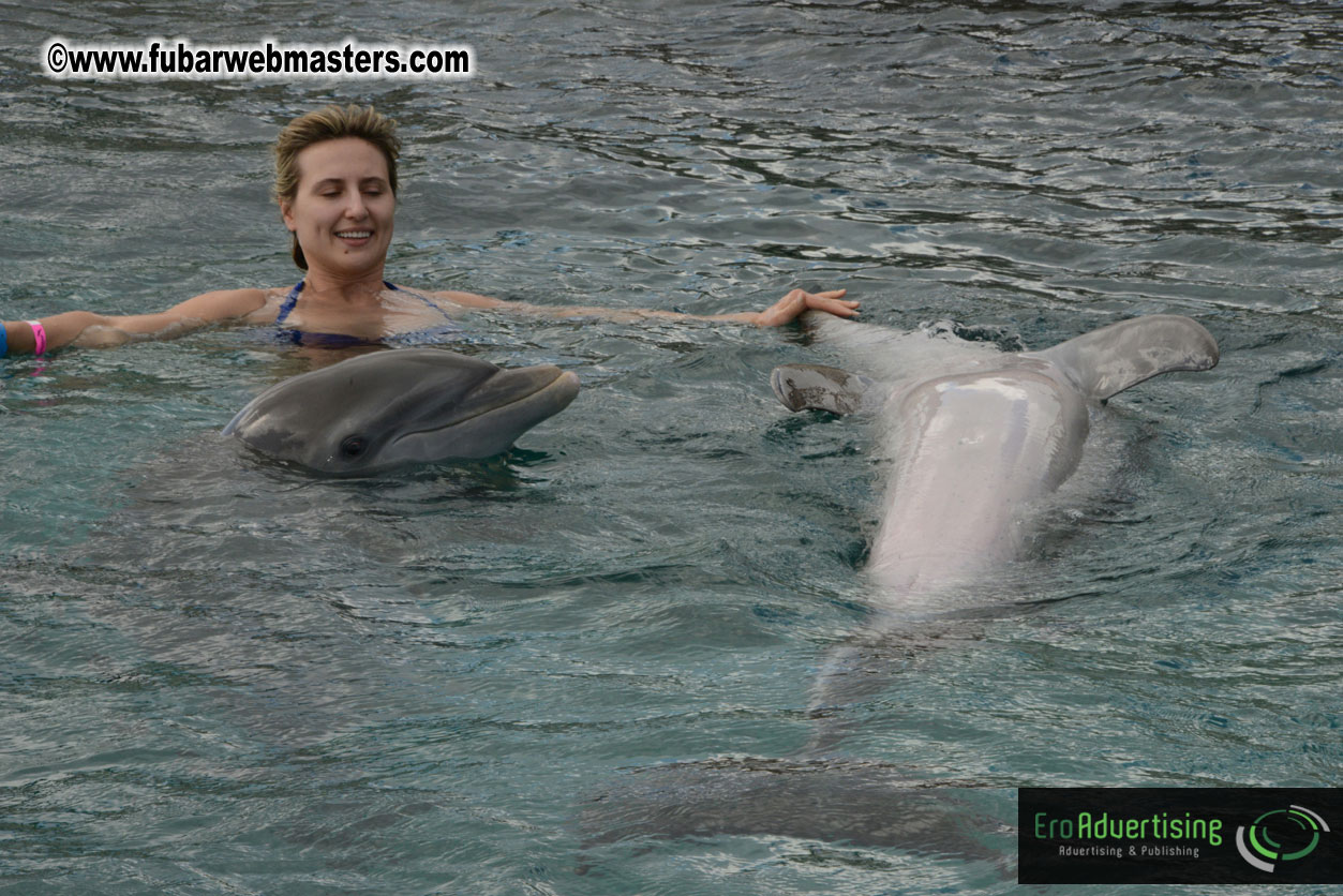 WireCard Dolphin Swim