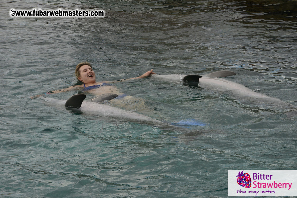 WireCard Dolphin Swim