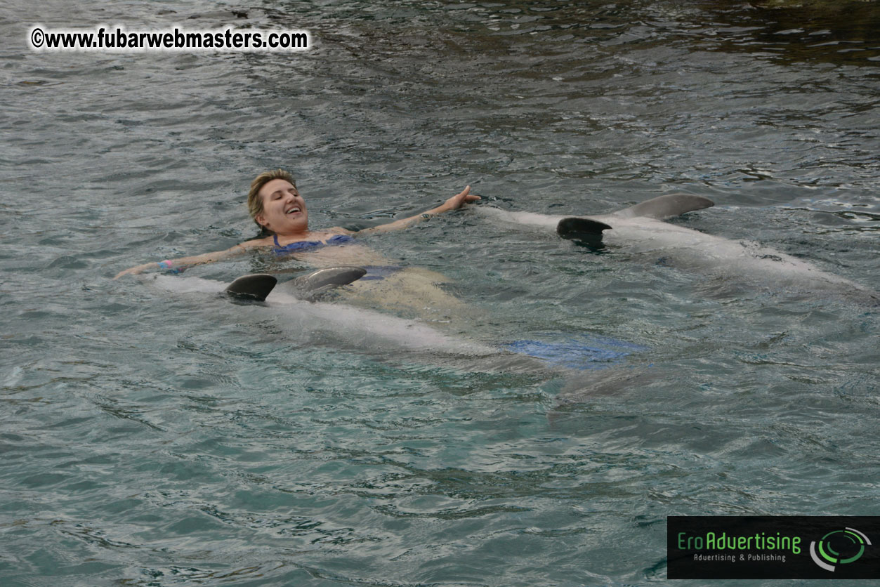 WireCard Dolphin Swim