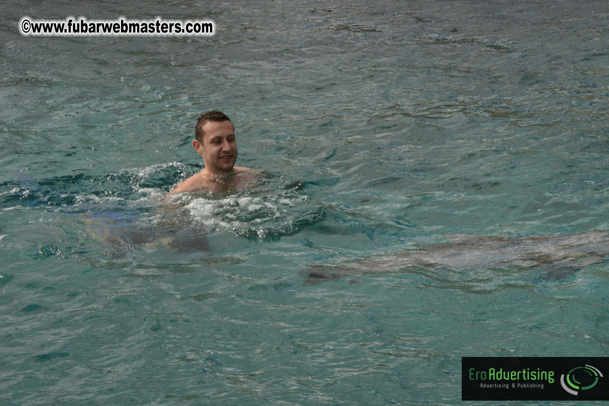 WireCard Dolphin Swim