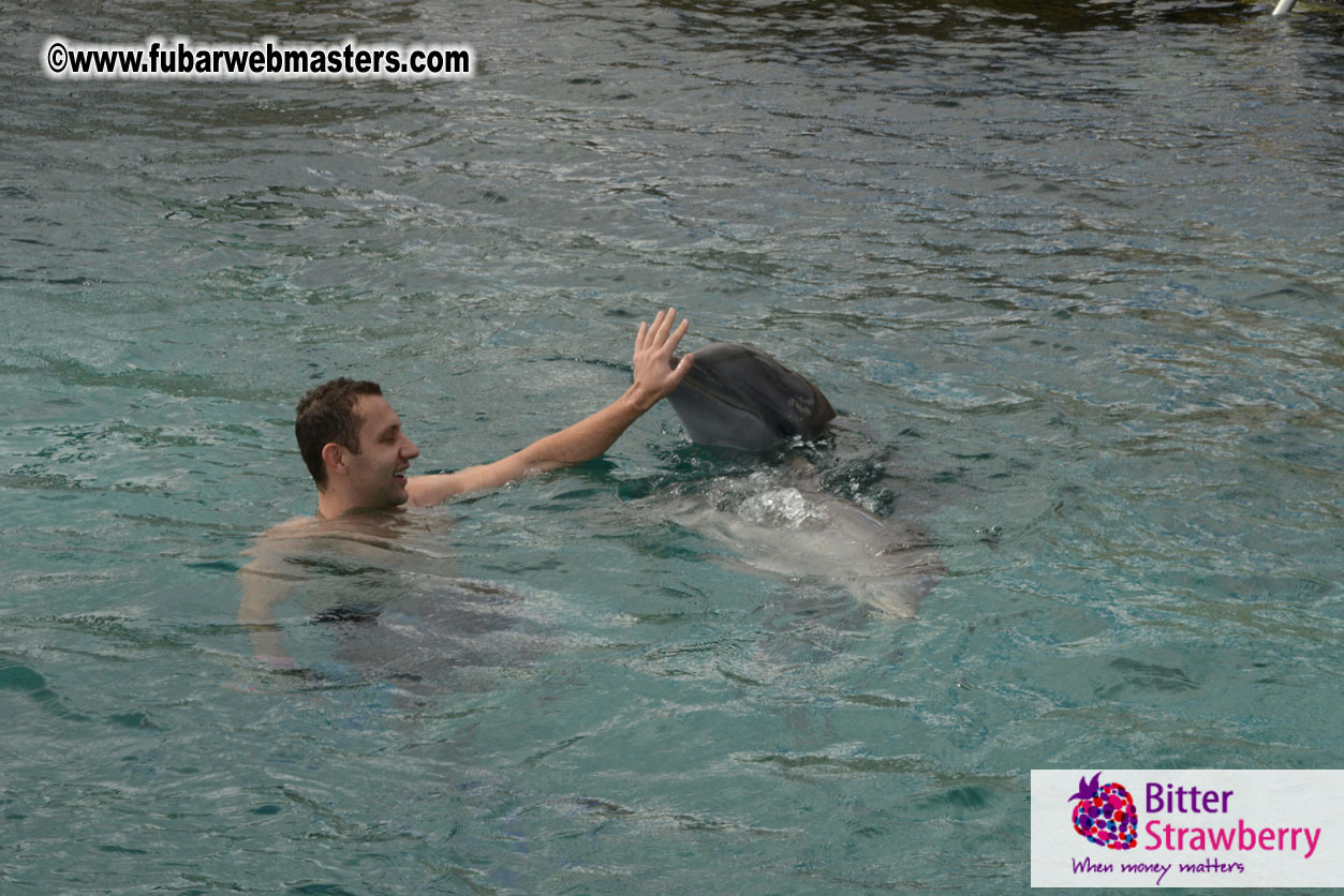 WireCard Dolphin Swim