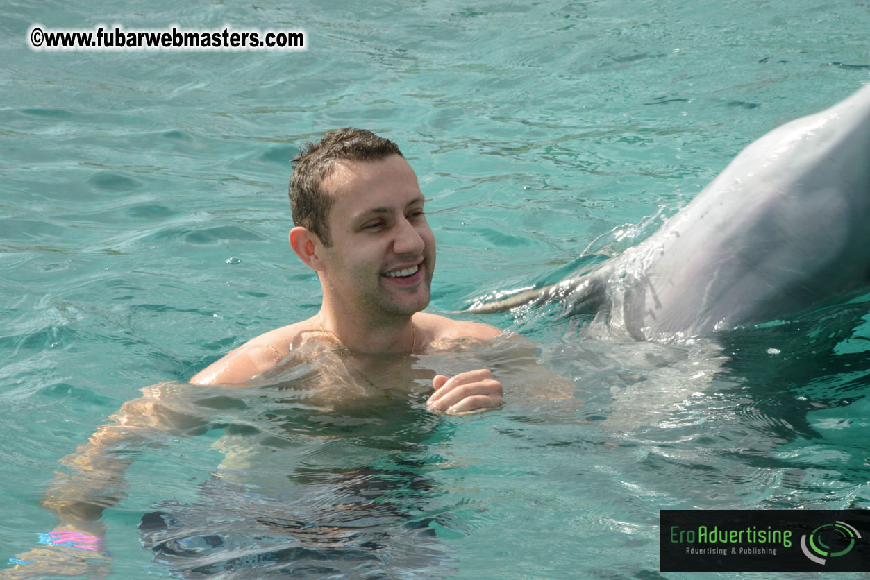 WireCard Dolphin Swim