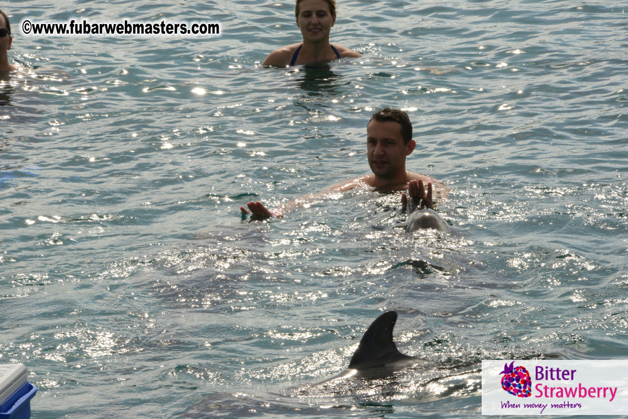 WireCard Dolphin Swim