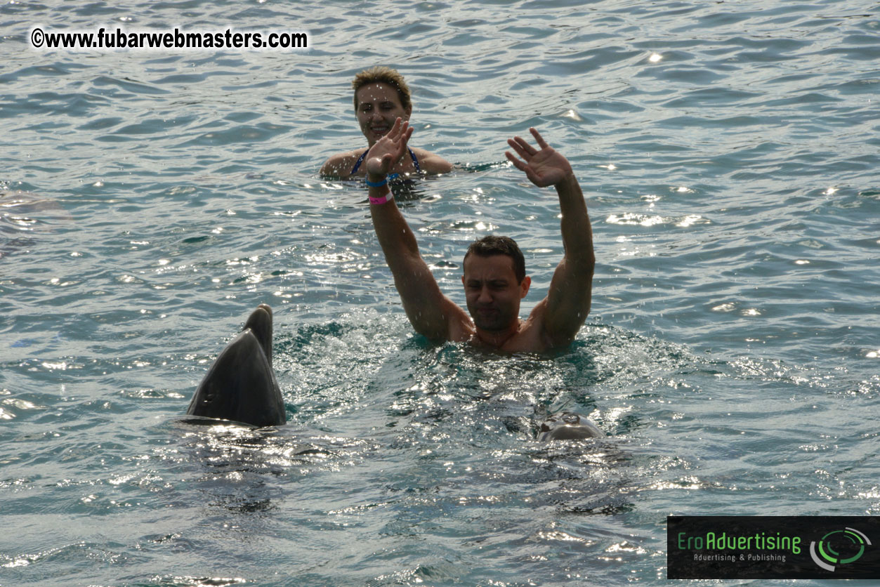 WireCard Dolphin Swim