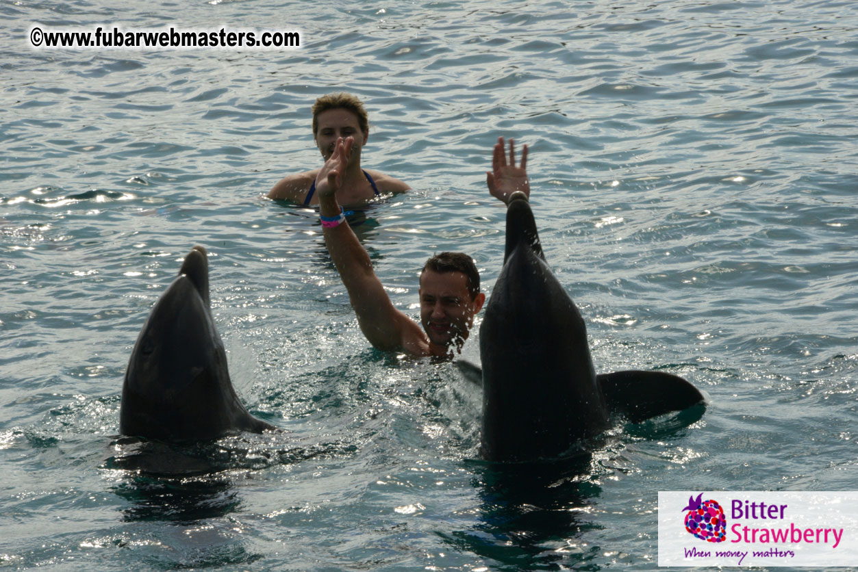 WireCard Dolphin Swim