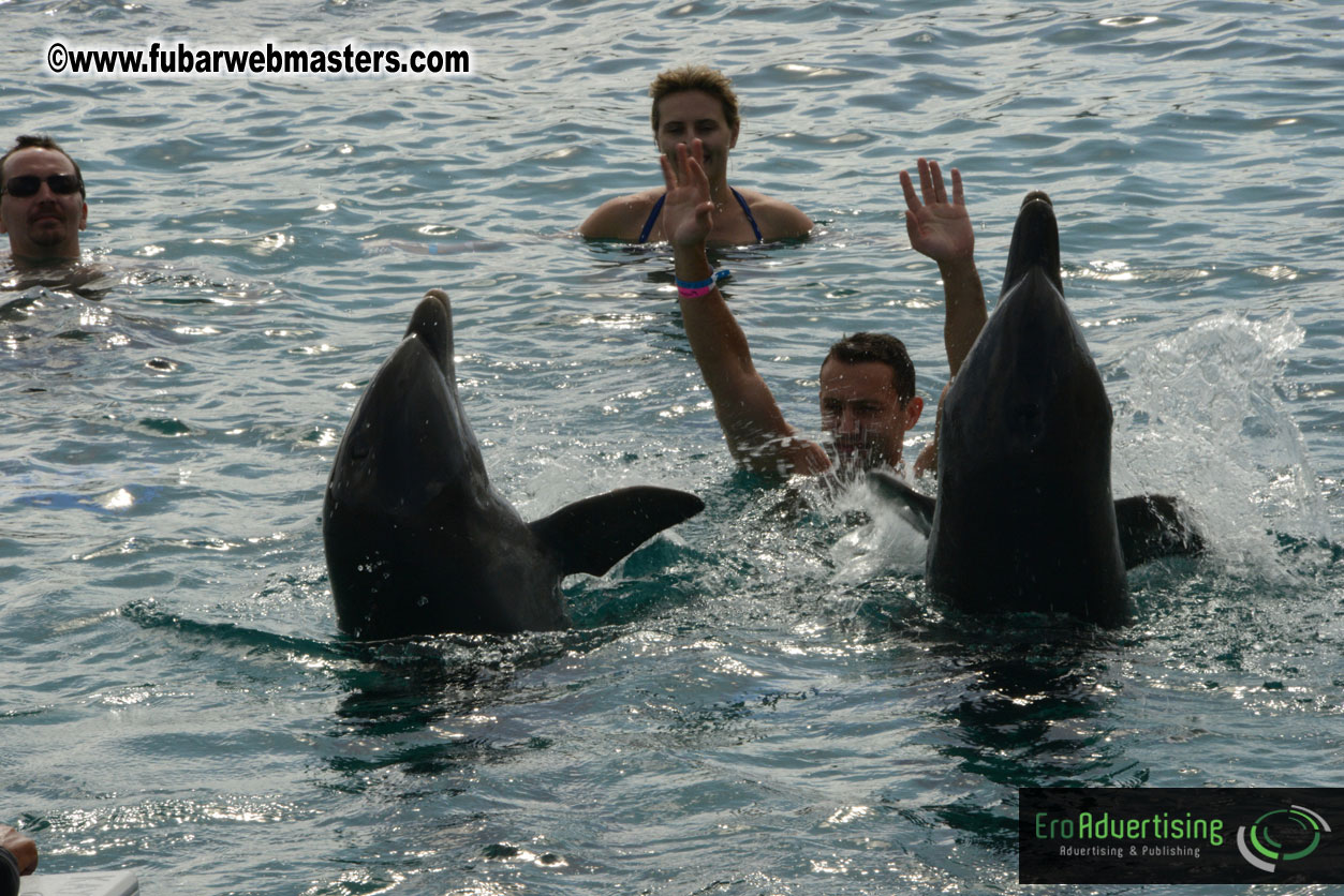 WireCard Dolphin Swim