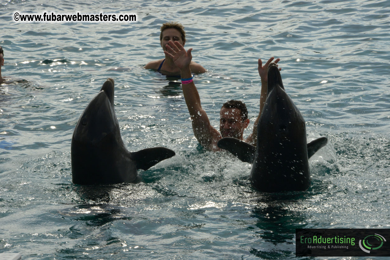 WireCard Dolphin Swim