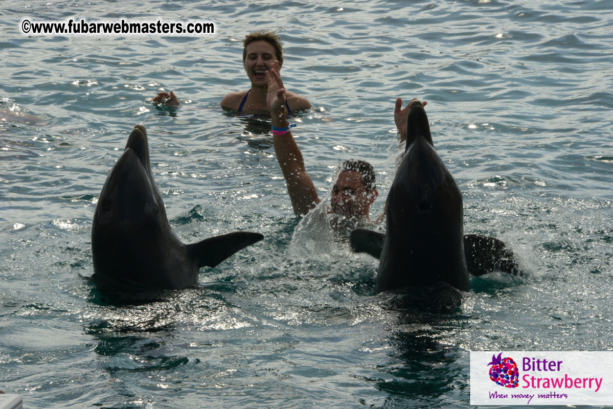 WireCard Dolphin Swim