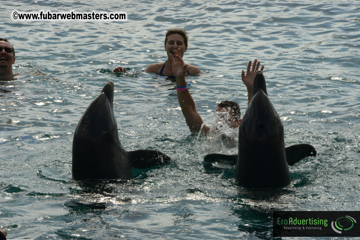 WireCard Dolphin Swim