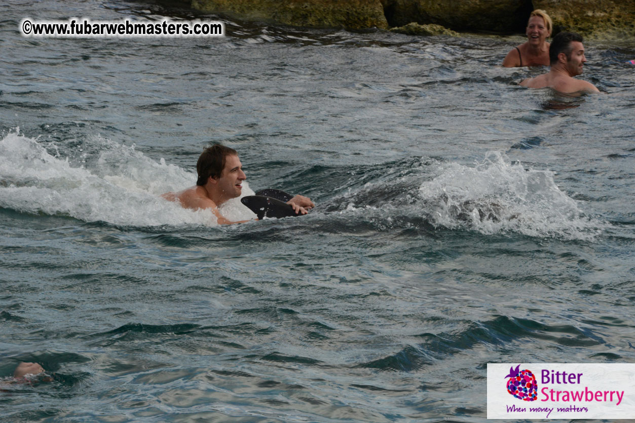 WireCard Dolphin Swim