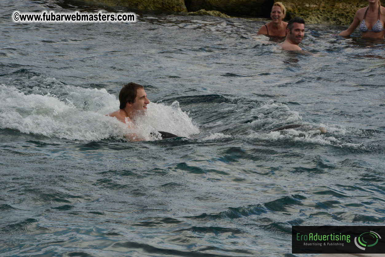 WireCard Dolphin Swim