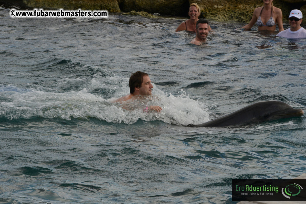 WireCard Dolphin Swim
