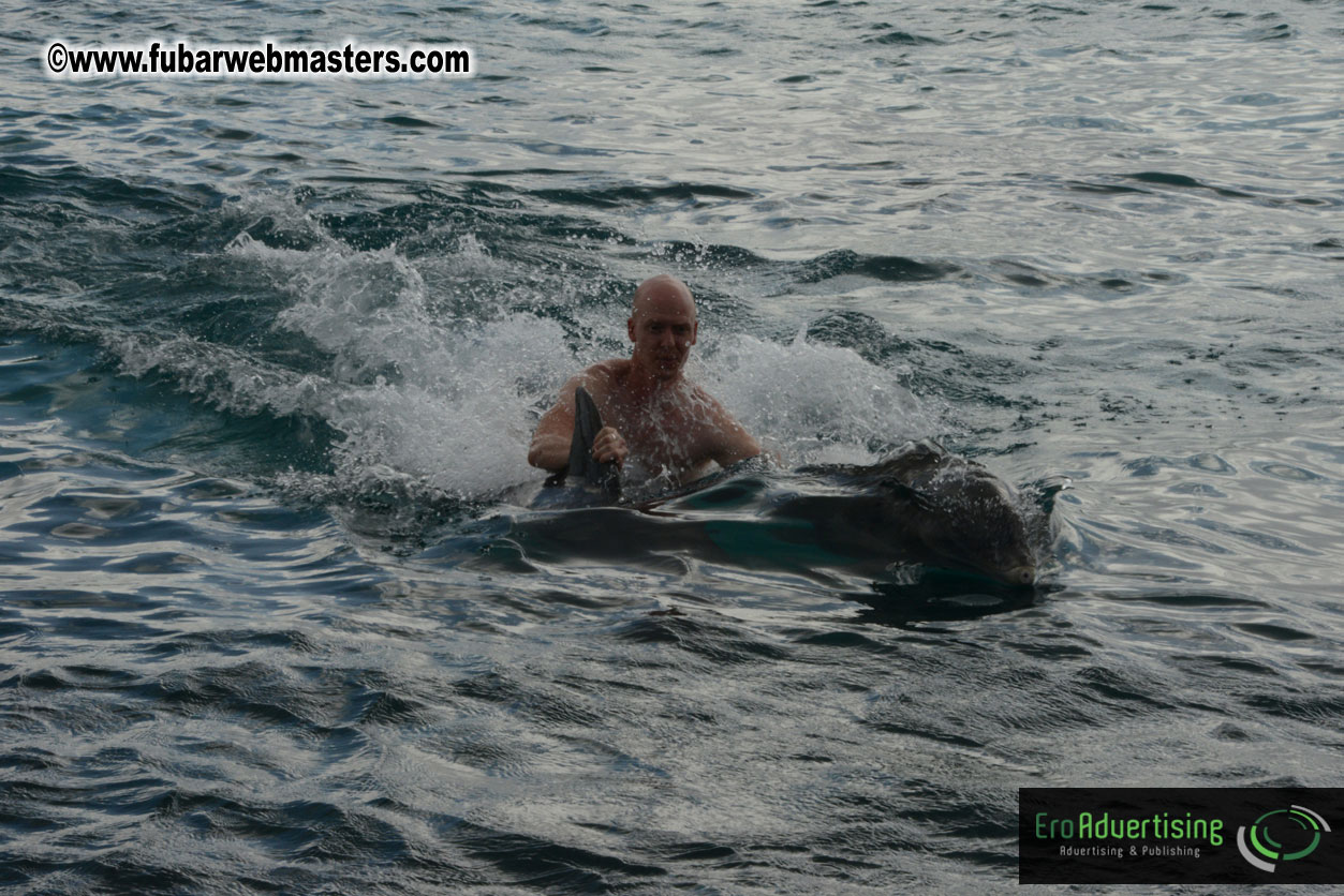 WireCard Dolphin Swim