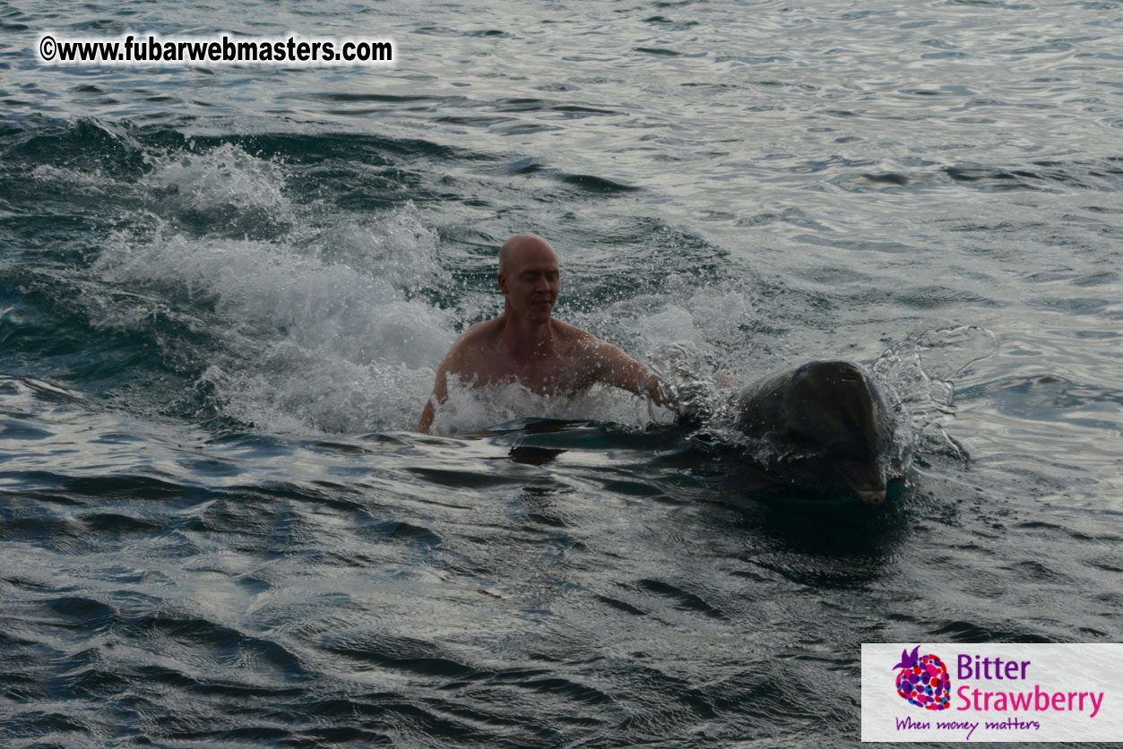 WireCard Dolphin Swim