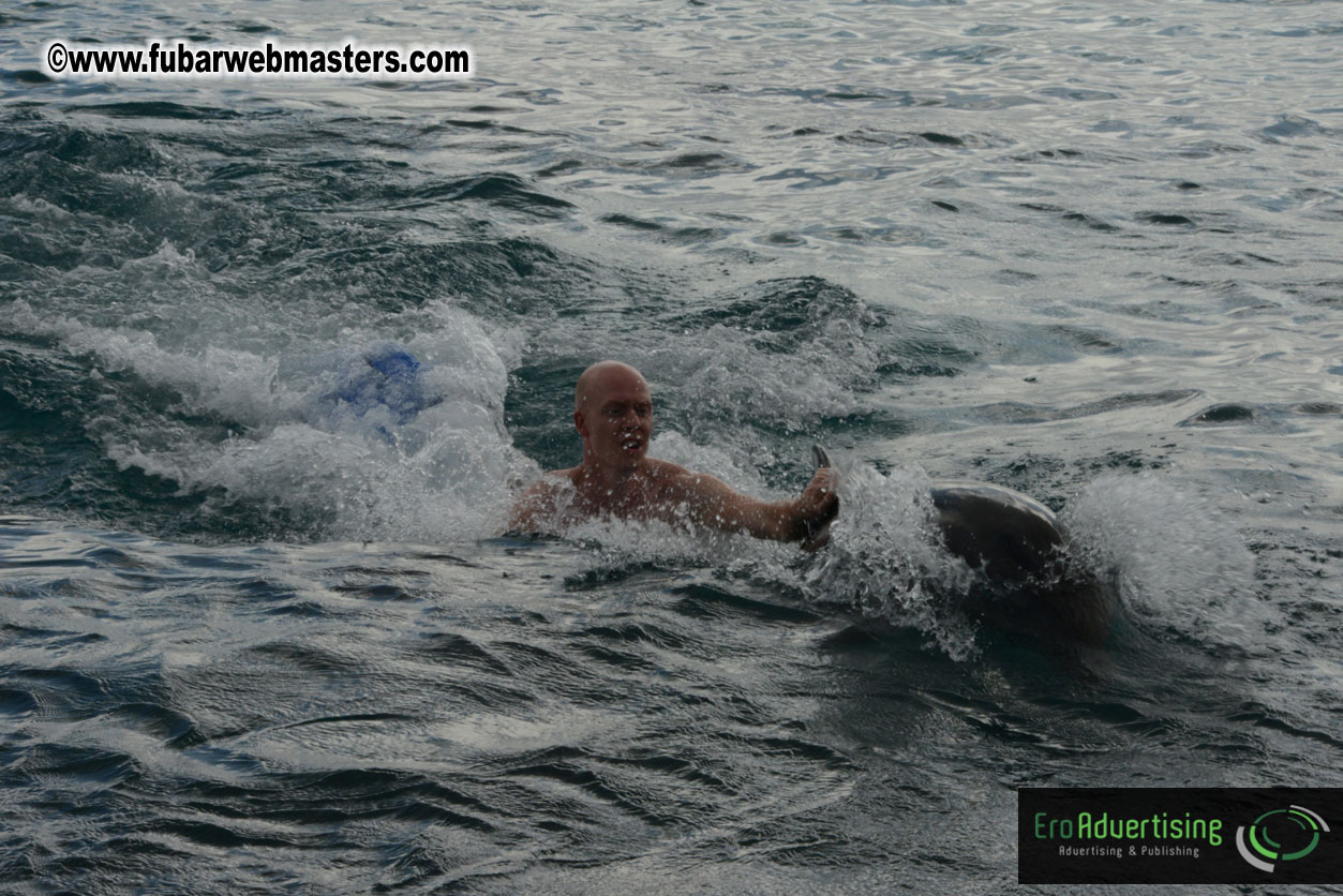 WireCard Dolphin Swim